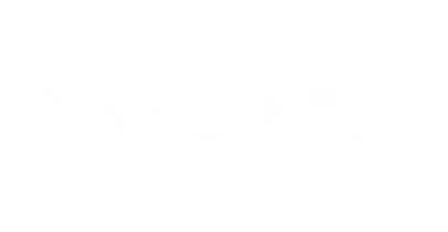 partners who work with D247