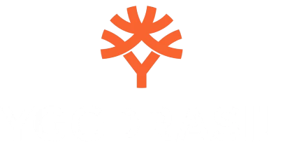 partners who work with D247